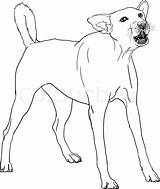 Dog Barking Drawing Vector Angry Bark Illustrations Getdrawings Clip sketch template