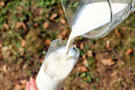 milk products ou kosher certification
