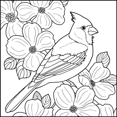 winter bird coloring page  svg png eps dxf file