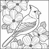 Coloring Cardinal Bird Pages Winter Drawing Printable Colouring Birds Cardinals Patterns Books Wood Red Crafts Nature Snowmen Wooden Diy Drawings sketch template