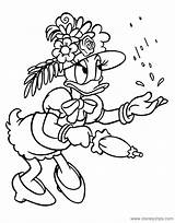 Daisy Coloring Duck Pages Disneyclips Caught Rain Spring sketch template