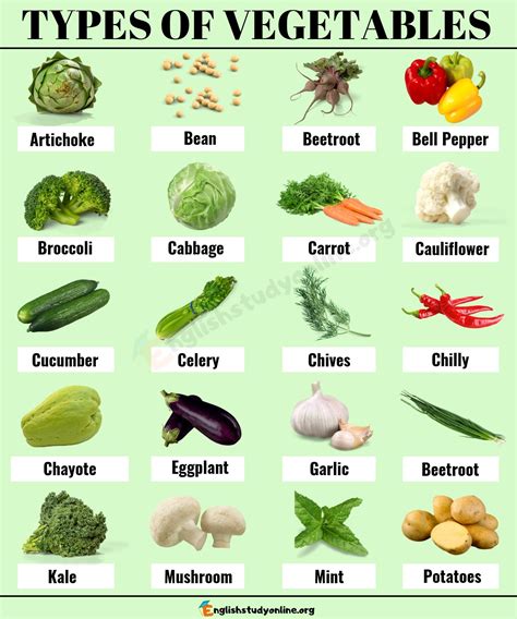 list  vegetables  popular types  vegetables  english