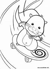 Zhu Hamster Skateboard Kolorowanki Skate Squiggles Ausmalbilder Colouring Pista Malvorlagen Cartoni Kolorowanka Malowanki Desenhosparacolorir Russe Coloriez Coloriages Zo Dzieci Library sketch template
