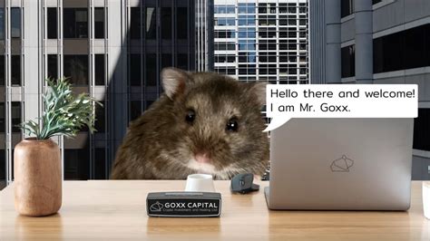 german hamster   trading cryptocurrency