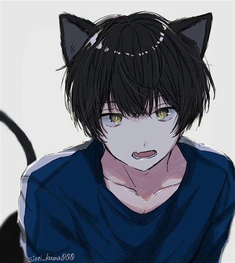 anime neko tv anime fanarts anime anime characters anime art cat boy anime cute anime guys