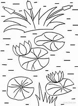 Lily Pad Coloring Pages Printable Template Clipart Drawing Kids Flower Cool2bkids Print Pads Water Lilly Clip Colouring Library Show Sheets sketch template