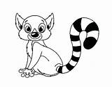 Lemur Coloring Ring Tailed Pages Aye Colorear Para Getcolorings Dibujo Animals Coloringcrew Printable sketch template