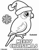 Coloring Christmas Pages Birds Cockatiel Birdorable Cute Printable Cartoon Bird Aussie Sheets Choose Board Tags Wood sketch template