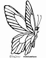Butterflies Mariposas Digi Tons Mariposa Insects Laurie Davies Papillon Clipartmag Tsgos Moldes sketch template