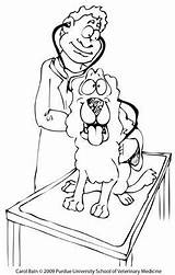 Coloring Pages Stethoscope Choose Board sketch template