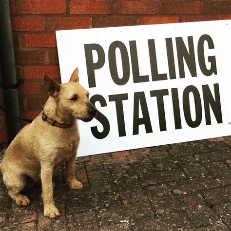 dogs  polling stations wikipedia