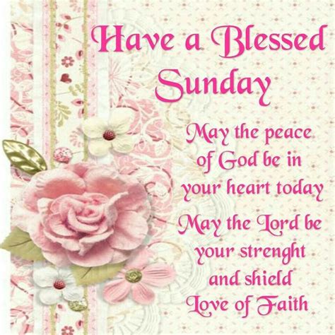 sunday blessings images  robbie mcdonald  pinterest happy sunday quotes blessed