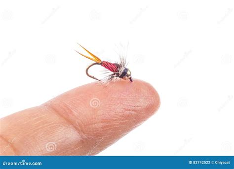 tiny fishing fly  finger tip  stock photo image  finger tiny