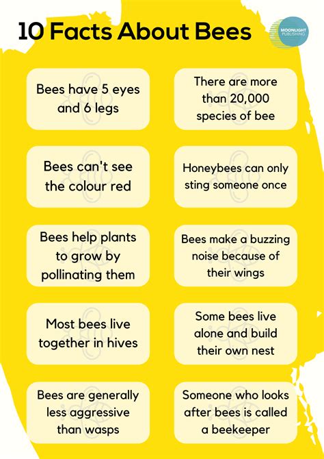 fascinating bee facts  kids   moonlight publishing