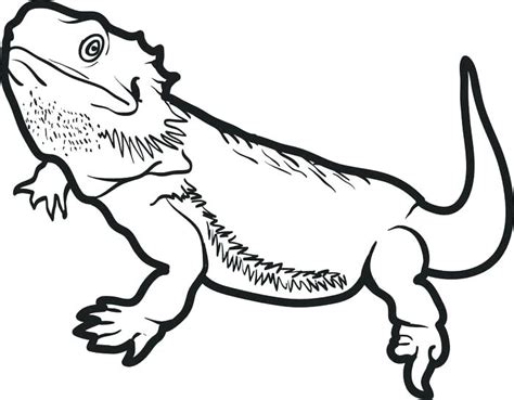 reptile coloring page images