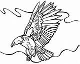 Eagle Coloring Bald Flying Pages Around Clipart Netart Color Drawing Eagles Template Bird Clipartbest Clipartmag Getcolorings Choose Board sketch template