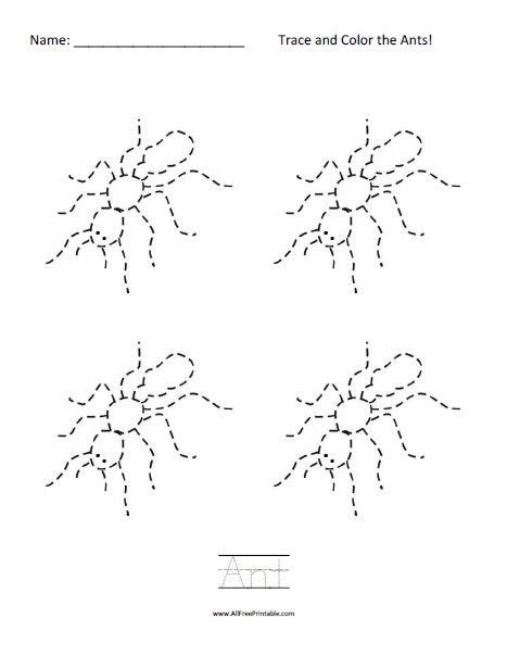 ant worksheets printables  printable templates