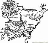 Carolina Coloring South Symbols State Pages North Flag Color Map Printable Getcolorings Template Getdrawings Comments sketch template
