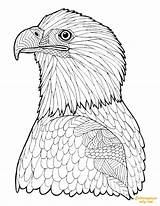 Coloring Eagle Advanced Pages Adult Bald Printable Adults Hard Zentangle Color Print Getcolorings Book Coloringpagesonly sketch template