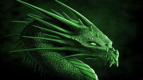 green wallpaper thread illyustratsiya drakona risunki drakonov