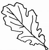 Coloring Leaf Leaves Oak Clipart Pages Fall Clip Drawing Outline Template Cliparts Kindergarten Tree Library Clipartpanda Acorn Wikiclipart Print Getdrawings sketch template