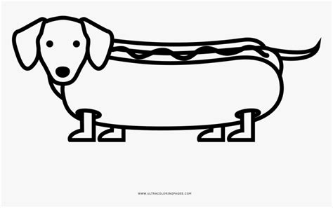 hot dog coloring dachshund hd png  kindpng