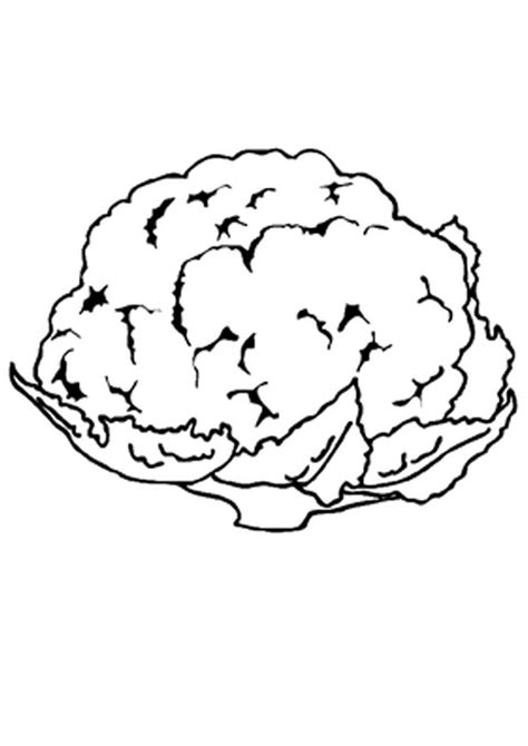 coloring pages vegetable cauliflower coloring page
