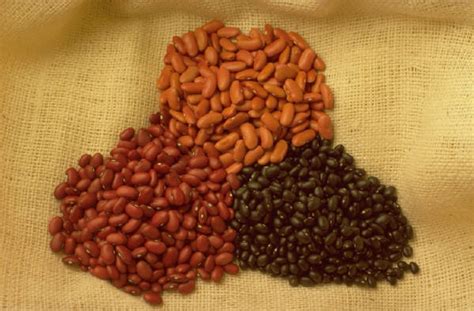 beans beans beans