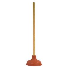 blog  day    called  plunger