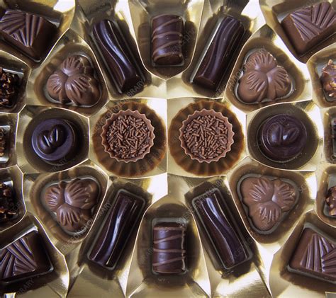 assorted chocolates stock image h110 3139 science photo library