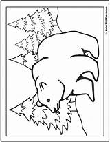 Bear Coloring Grizzly Colorwithfuzzy Fuzzy sketch template