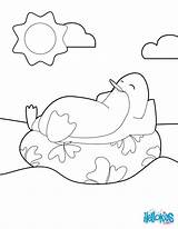 Raft Coloring Penguin Sunning Pages Hellokids Print Color Animal sketch template