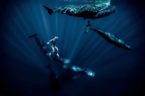 prep scholar gate world record underwater breath