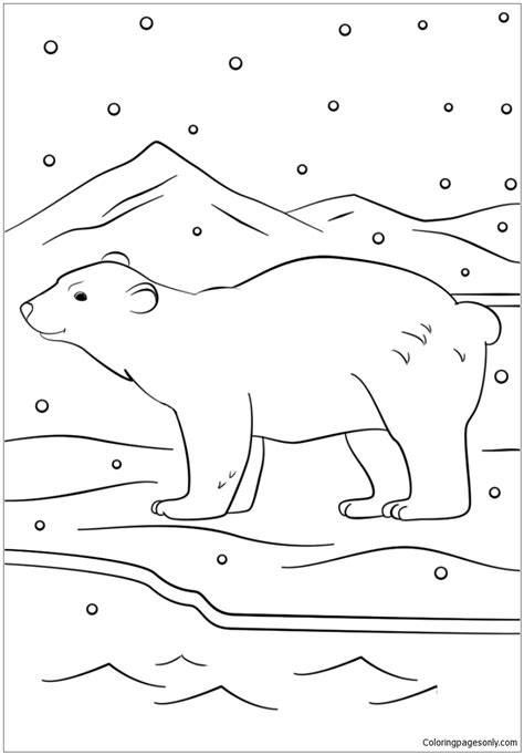 winter bear coloring page  printable coloring pages