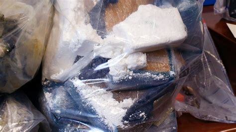 family  vacation pulls  kilograms  cocaine  ocean ctv news