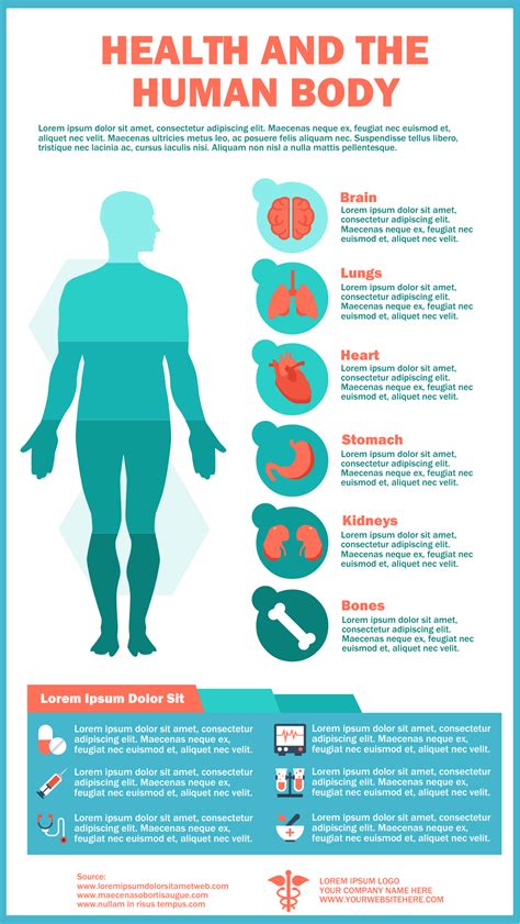 health   human body infographic template simple infographic