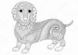Dachshund Zendoodle sketch template