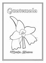 Guatemala Coloring Flag Para Colorear Monja Blanca Flower Pages National Dibujos Patrios Simbolos Color Nun Symbol Bandera Getcolorings Getdrawings Niños sketch template