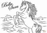 Bella Coloring Sara Pages Native Lights Popular Drawing Categories sketch template