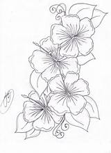 Flower Hibiscus Flowers Tattoo Drawing Coloring Pages Tattoos Hawaiian Choose Board Beautiful sketch template
