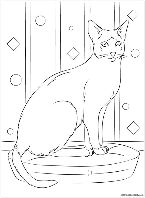 sitting siamese cat coloring page  printable coloring pages