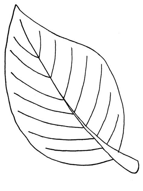 flower leaves coloring pages   print
