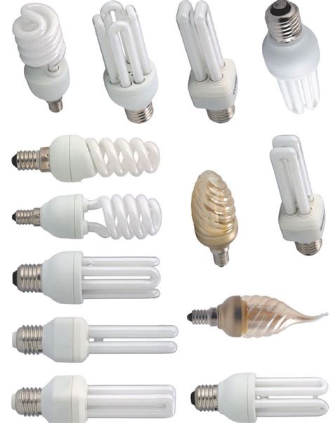 kinds  light bulbs bulbs ideas