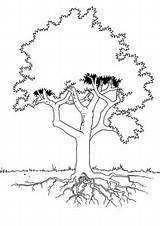 Trees Coloring Kids Pages Printable Children sketch template