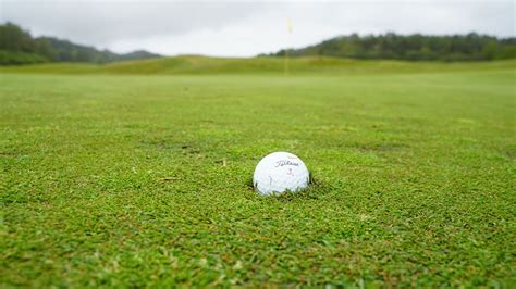 white golf ball  green grass field  stock photo