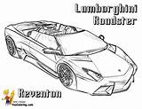 Lamborghini Pages Coloring Cars Car Reventon Colouring Printable Roadster Print Yescoloring Kids Clipart Boys sketch template