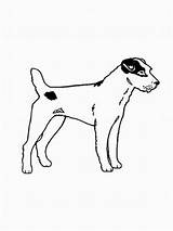 Hunde Malvorlage Ausmalbild Malvorlagen sketch template