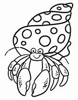 Crab Hermit Carle Crabs Animal Bernard Tsgos Getdrawings Mandalas Didacticos Cuentos Didactico Materiales Caracoles Lermite Hermite Clipartmag Coloriage Rasane sketch template