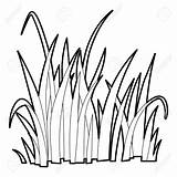 Grass Outline Clipart Drawing Line Icon Vector Style Drawings Clipground Royalty Pic Cliparts Similar sketch template