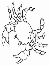 Crab Coloring Hermit Animal Drawings Clip Pages Animals Cliparts Ocean Printable Clipart Crabs Activities Child Various sketch template